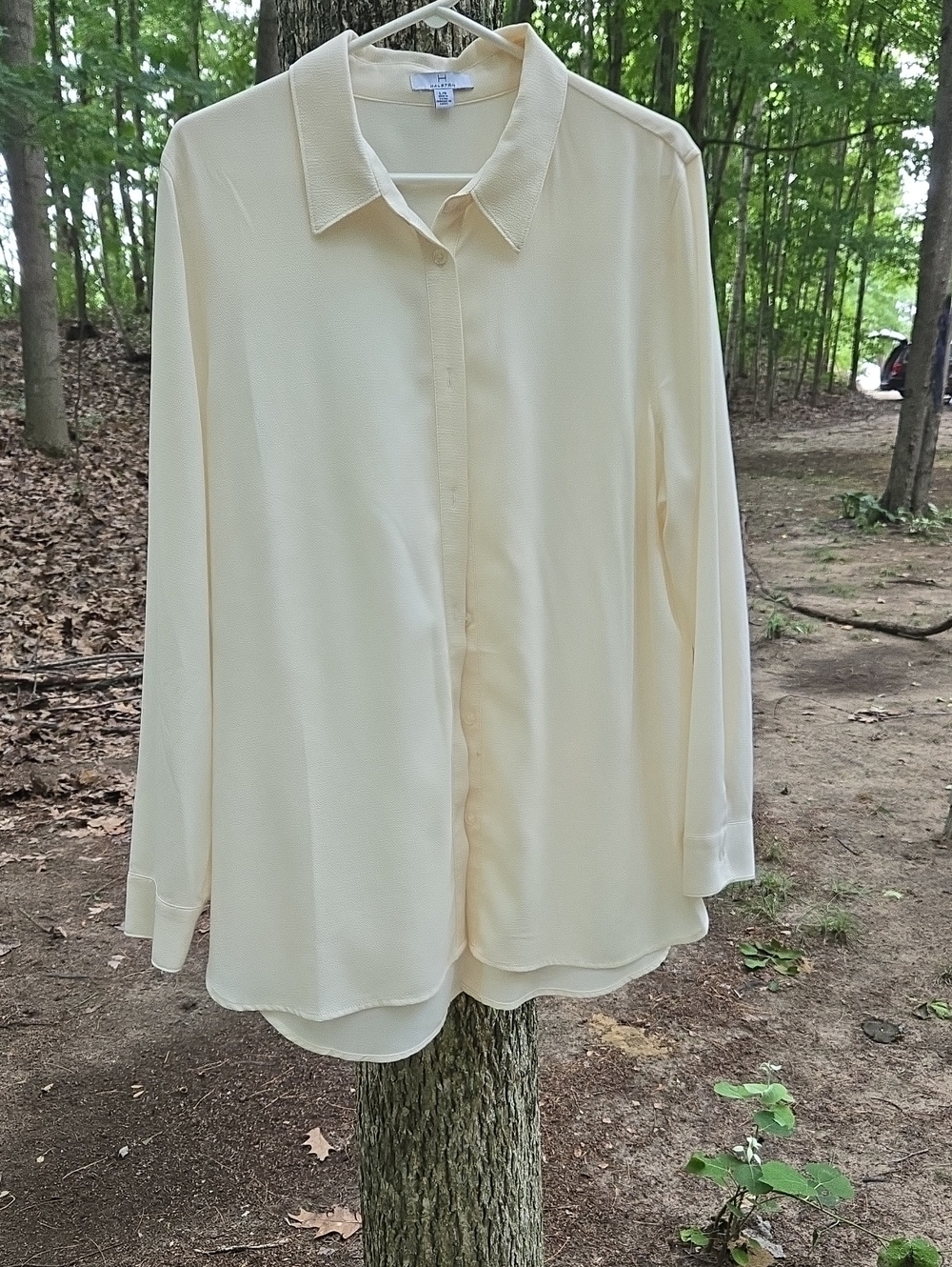 H by Halston Cream Button-Up Blouse